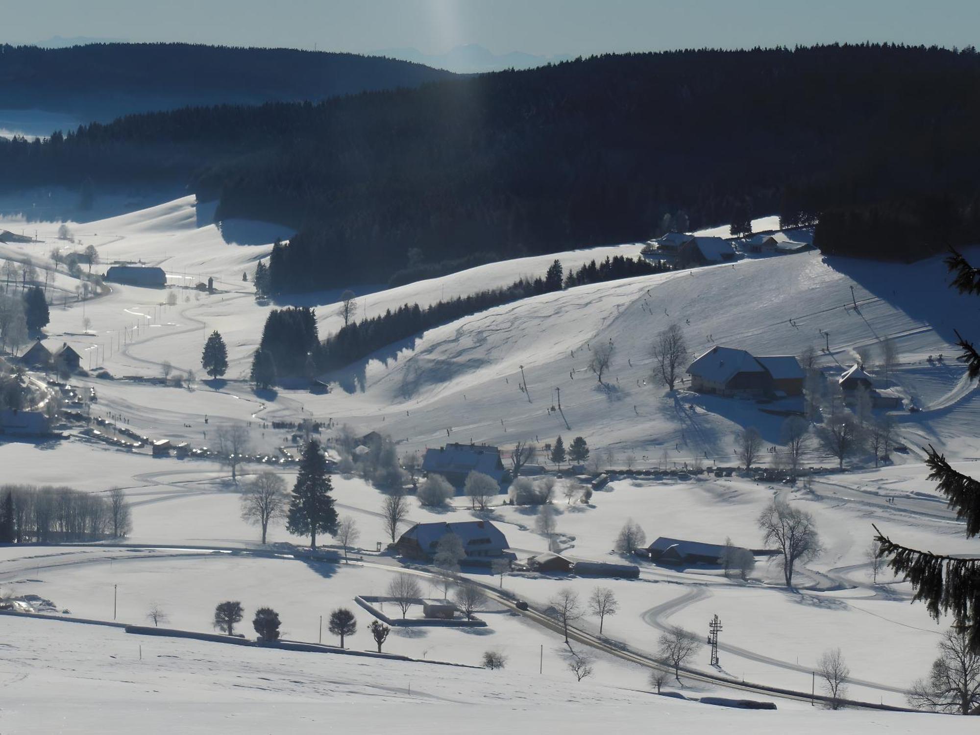 Ferienhaus Kaltenbach ティティゼー・ノイシュタット エクステリア 写真