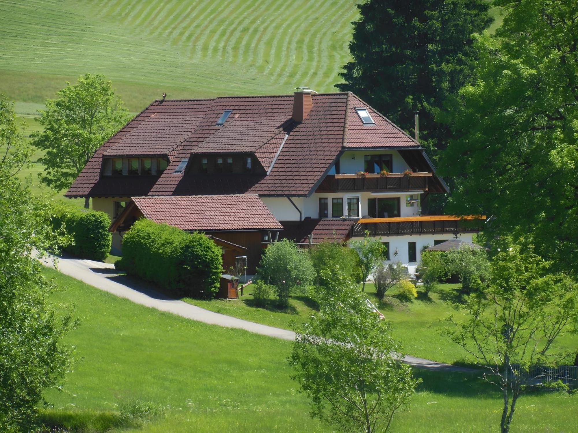 Ferienhaus Kaltenbach ティティゼー・ノイシュタット エクステリア 写真