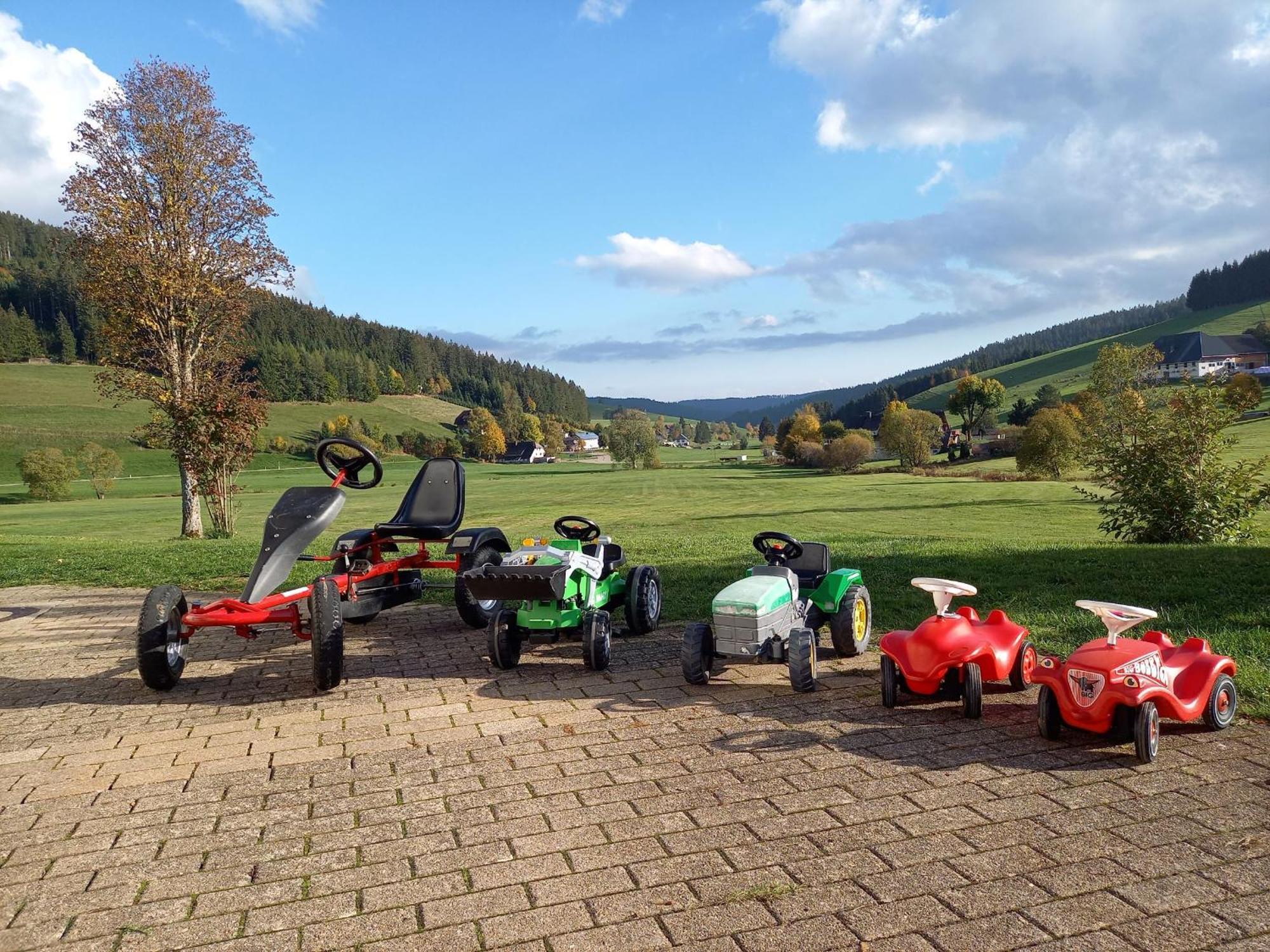 Ferienhaus Kaltenbach ティティゼー・ノイシュタット エクステリア 写真