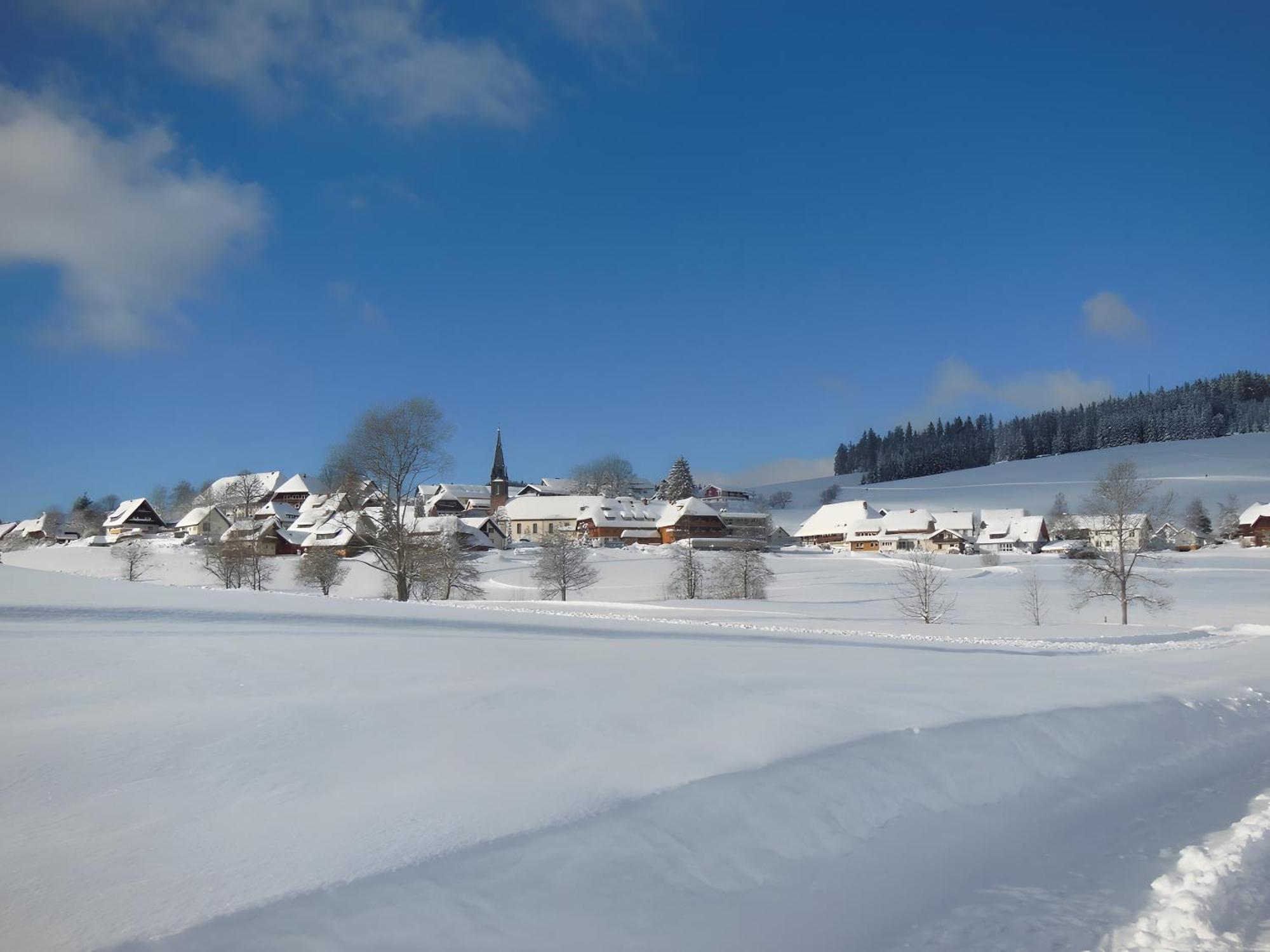 Ferienhaus Kaltenbach ティティゼー・ノイシュタット エクステリア 写真