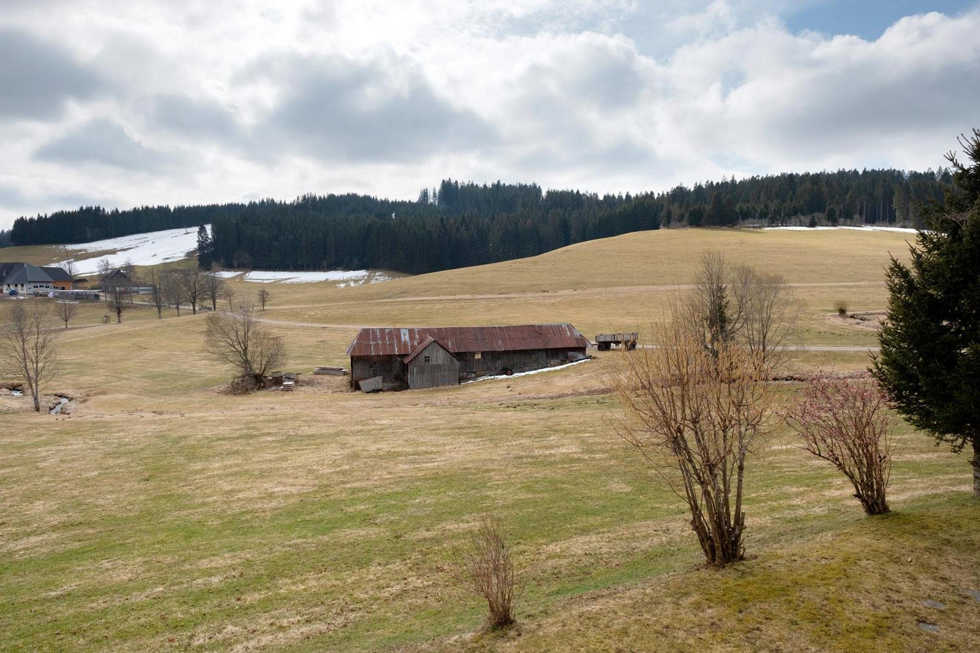 Ferienhaus Kaltenbach ティティゼー・ノイシュタット エクステリア 写真