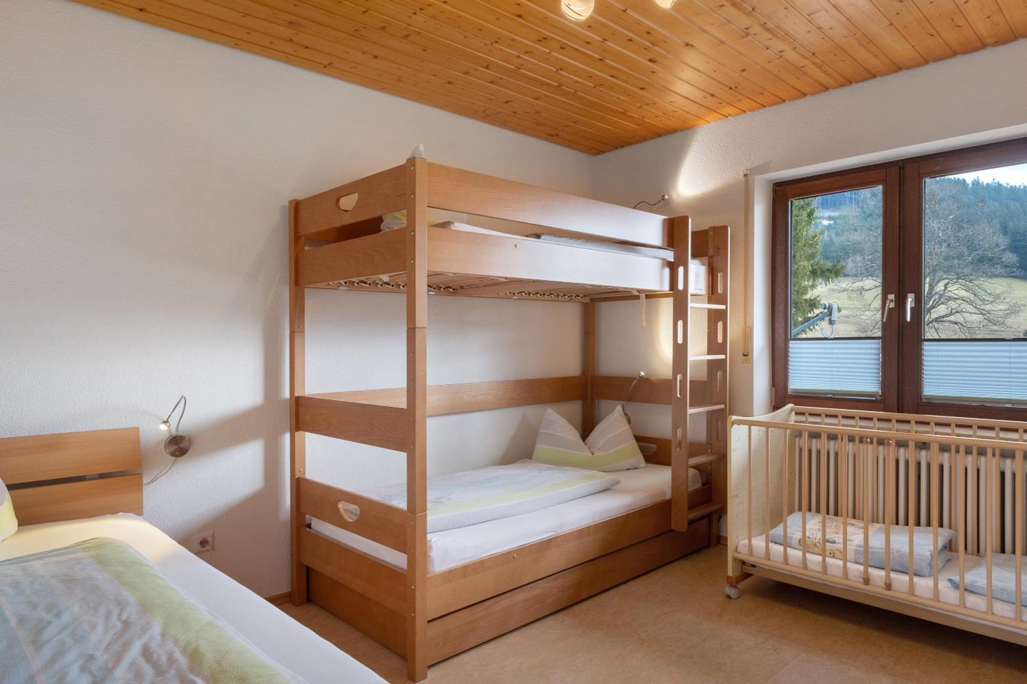 Ferienhaus Kaltenbach ティティゼー・ノイシュタット エクステリア 写真