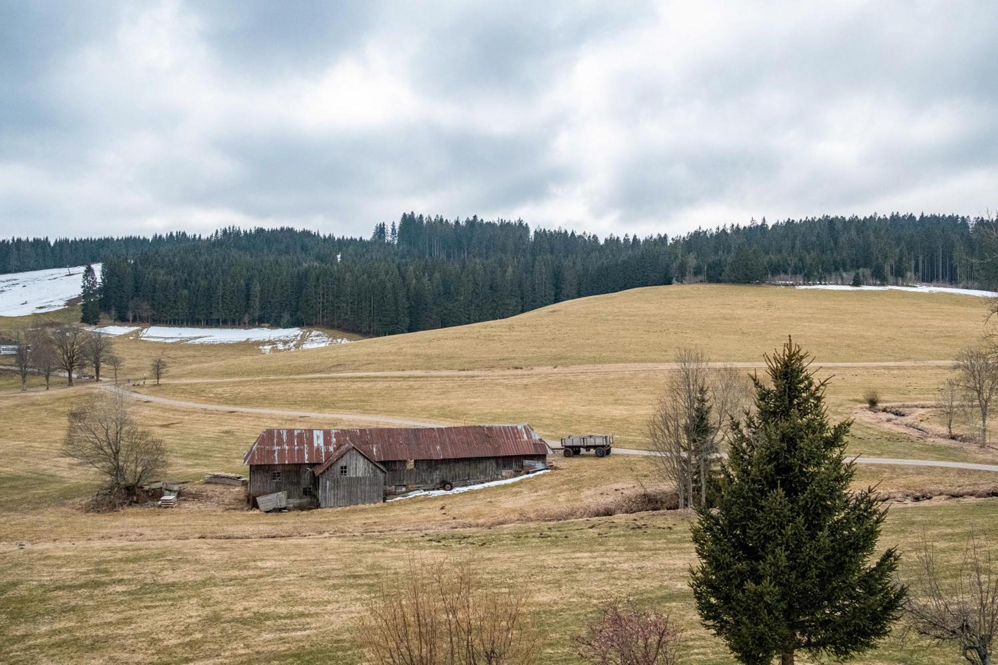 Ferienhaus Kaltenbach ティティゼー・ノイシュタット エクステリア 写真