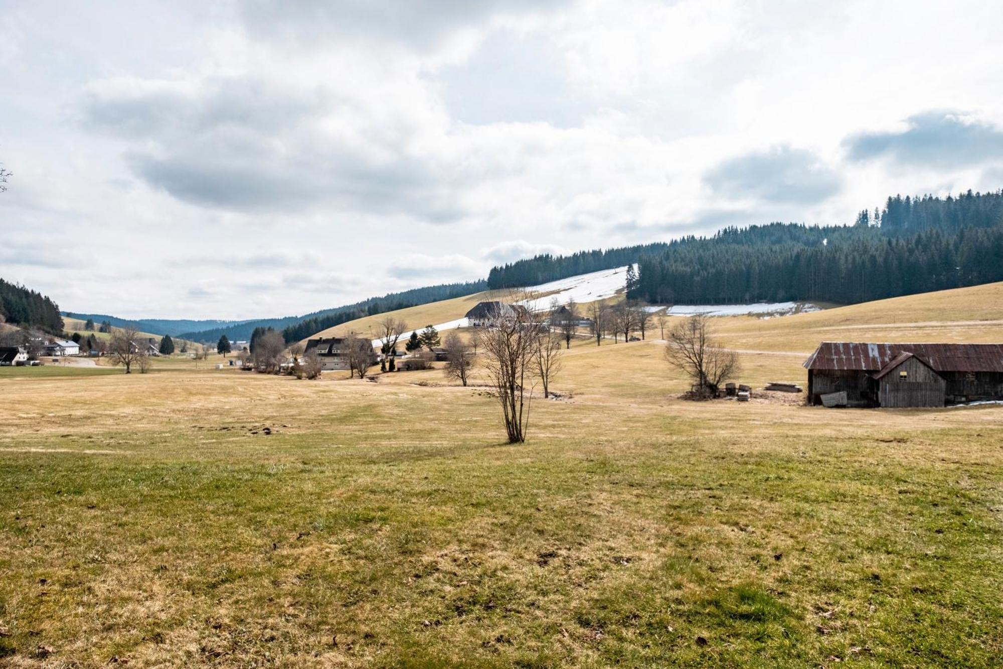 Ferienhaus Kaltenbach ティティゼー・ノイシュタット エクステリア 写真